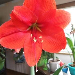 Meet your Posher, Denise